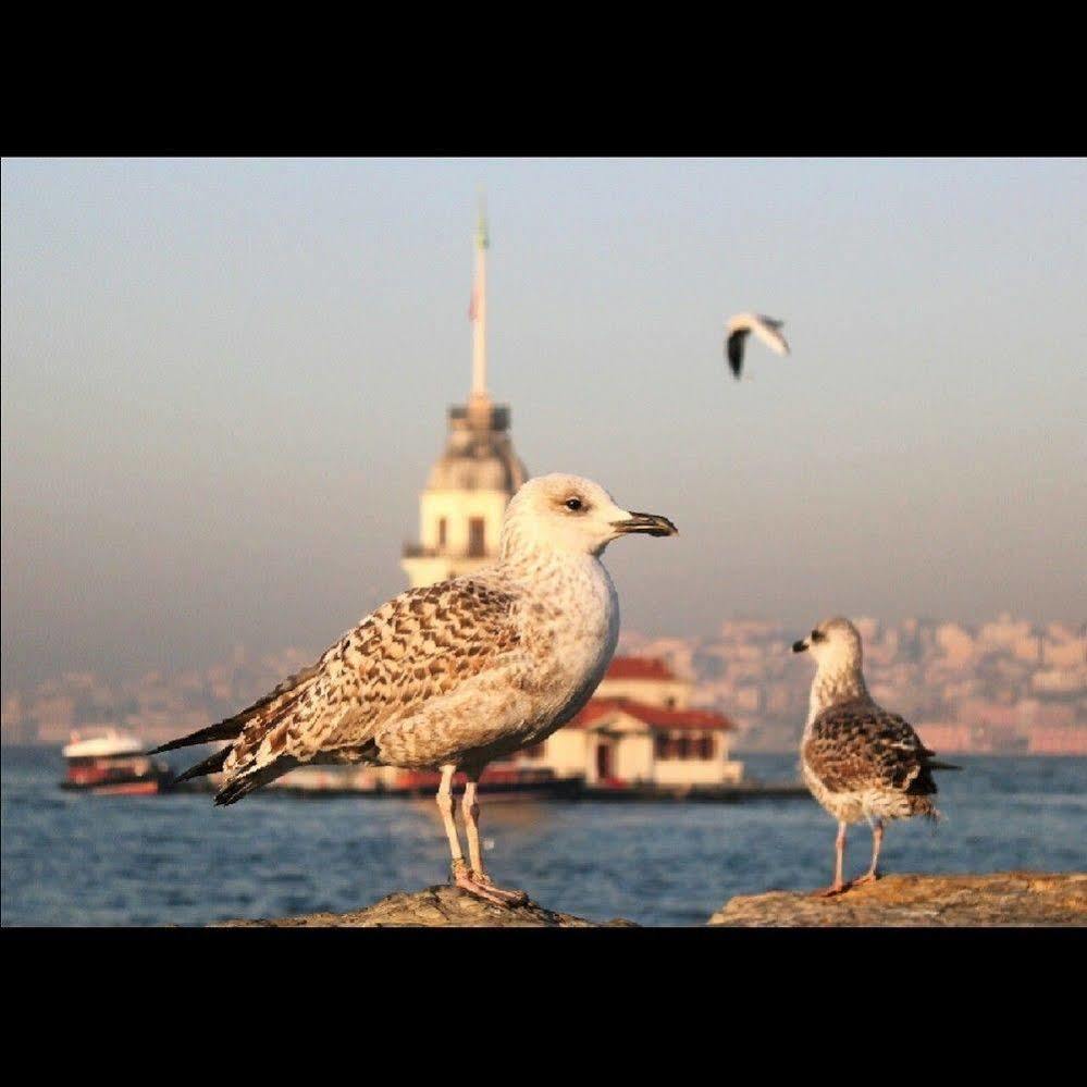 Luxury Grand Bazaar Suites Estambul Exterior foto